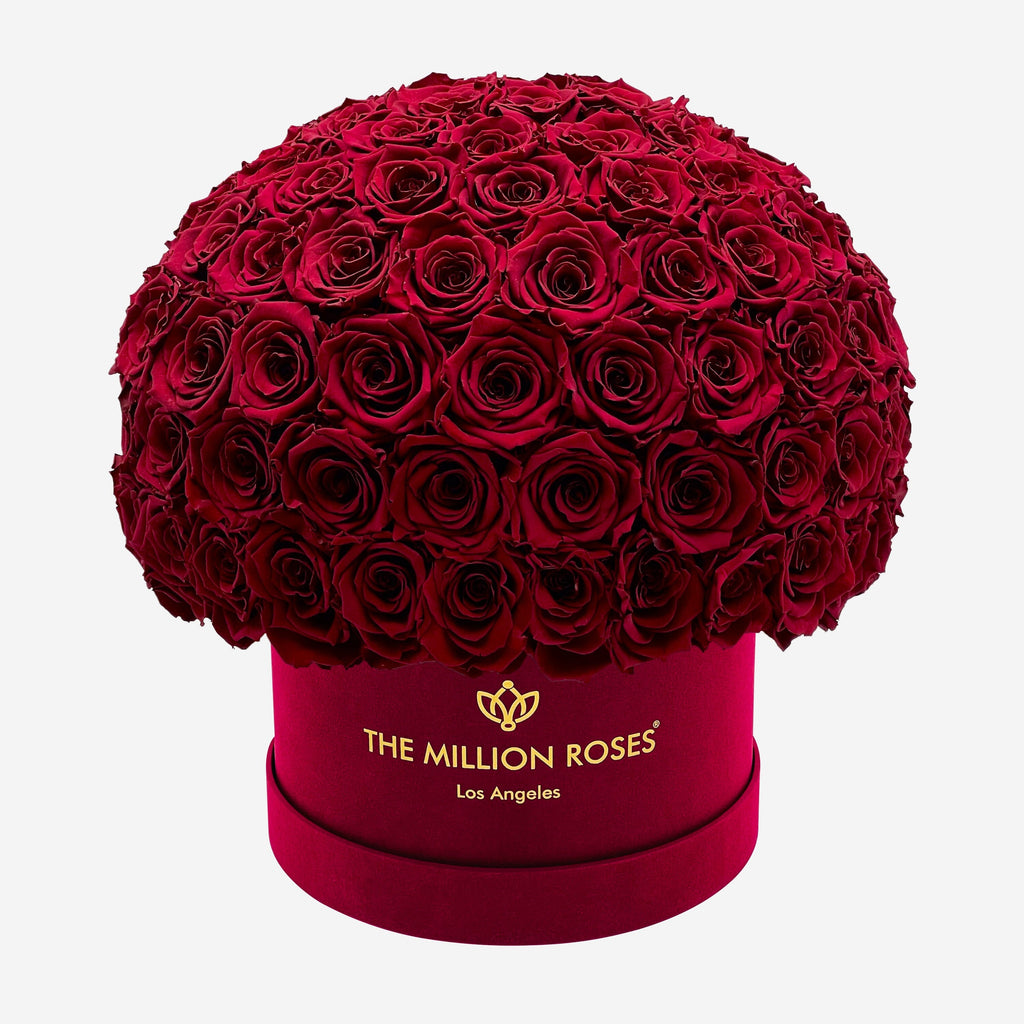 Supreme Bordeaux Suede Superdome Box | Burgundy Roses